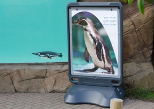 Stop trottoir Advocate™ panneau d’affichage sur pied dans jardins zoologiques