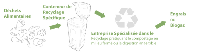 recycler les déchets alimentaires