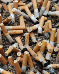 Pile de mégots de cigarettes jetés par terre