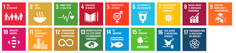 Sustainable Development Goals