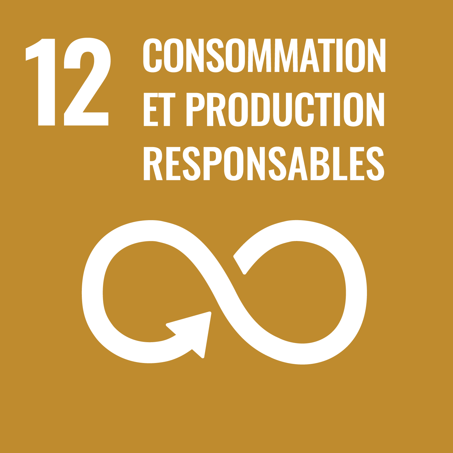 12 – Responsible Consumption and Production